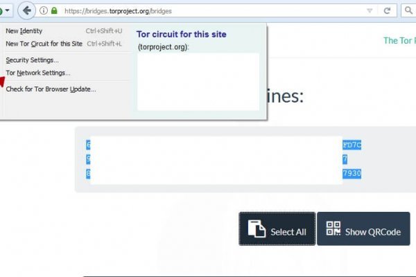 Рабочие ссылки тор blackprut com