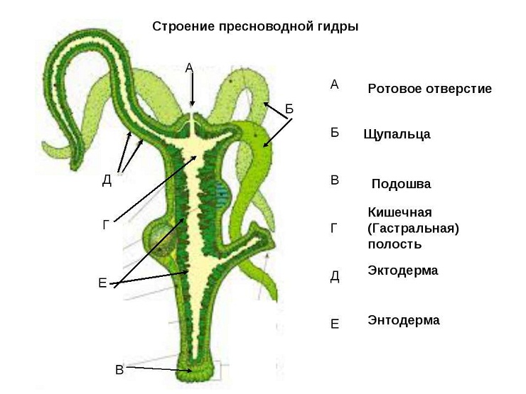 Клир ссылка на блэкспрут bs2web top